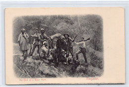 MOGADOR Essaouira - La Fin De La Chasse Au Sanglier - Ed. Stationers' Hall  - Sonstige & Ohne Zuordnung