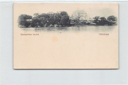 Trinidad - Quaranteen Island - SMALL SIZE Early Forerunner Postcard - Publ. Unknown  - Trinidad