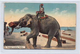 BURMA - Elephant Working Timber - Publ. D. A. Ahuja 38 - Myanmar (Burma)