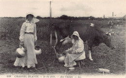 Channel Islands - In The Fields - Milking Cows - Publ. Levy L.L. 219 - Autres & Non Classés