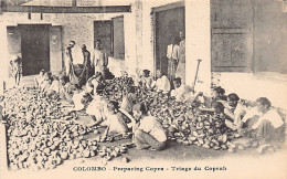 Sri Lanka - Preparing Copra - Publ. H. Grimaud (no Imprint) - Sri Lanka (Ceilán)