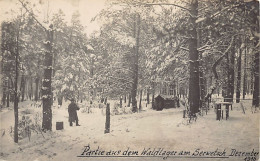 Belarus - The Forest Camp On The Shchara River (Serwetsch) - REAL PHOTO - World War One - Wit-Rusland