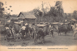 Laos - Caravane De Ravitaillement Par Bœufs-porteurs - Ed. Missions Étrangères De Paris  - Laos