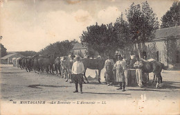 Algérie - MOSTAGADEM - La Remonte - L'abreuvoir - Ed. L.L. 86 - Mostaganem