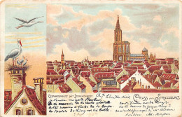 STRASBOURG - Illustration - Vue Globale - Cathédrale - Nid De Cigognes - Strasbourg