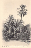 Algérie - ALGER - Jardin D'Essai, Allée Des Palmiers - Ed. Arnold Vollenweider 92 - Algiers