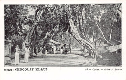 Sri Lanka - Trees And Roads - Publ. Chocolat Klaus 23 - Sri Lanka (Ceilán)