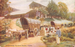 SRI LANKA - Transporting Tea From Estates - Publ. Plâté Ltd. 92 - Sri Lanka (Ceylon)