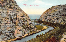 Liban - Fleuve Du Chien - La Vallée - Ed. André Terzis & Fils  - Libanon