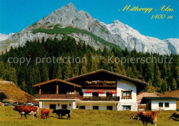 73286094 Muehlbach Hochkoenig Mitteregg-Alm Kuehe Muehlbach Hochkoenig - Altri & Non Classificati