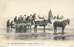 CPA Cayeux Sur Mer-Retour De Pêche-30      L2428 - Cayeux Sur Mer