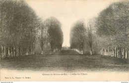 CPA Château Du Buisson De Mai-L'allée Des Tilleuls     L1843 - Andere & Zonder Classificatie