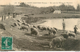 CPA Environs De Saint Sauveur-Un Coin De L'étang De Moutiers-Timbre   L1440 - Saint Sauveur En Puisaye