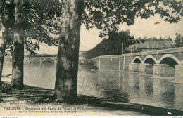 CPA Toulouse-Panorama Des Ponts De Tounis Et Pont Neuf-Timbre      L1444 - Toulouse