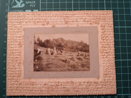 PHOTO 1898 SCENE DE CAMPAGNE PAYSAN AGRICULTURE MOISSON  DANS LE BEARN - Ancianas (antes De 1900)