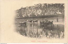 CPA Charny-Vaches à L'abreuvoir      L2427 - Charny