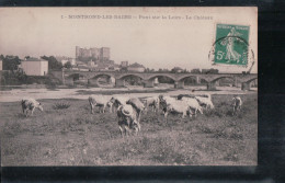 Cpa 42 Montrond Les Bains Pont Sur La Loire, Le Château - Sonstige & Ohne Zuordnung