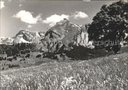 11666133 Saentis AR Und Schafberg Saentis AR - Sonstige & Ohne Zuordnung