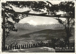 11666120 Meldegg Walzenhausen AR Blick Ins Rheintal Mit Buendnerbergen Walzenhau - Otros & Sin Clasificación