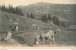 CPA Alpenweide Am Rigi Mit Rigl Kulm      L1699 - Other & Unclassified