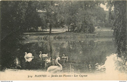 CPA Nantes-Jardin Des Plantes-Les Cygnes   L1082 - Nantes