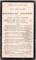 Bidprentje St-Niklaas - Cogen Rosalie (1868-1923) - Devotieprenten