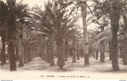CPA Hyères-L'Oasis Du Jardin Du Musée-145       L2262 - Hyeres