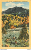 CPA Autumn Scene,Grandfather Mountain      L1210 - Altri & Non Classificati