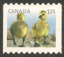 Canada Geese Oies Gans Gansa Oca Annual Collection Annuelle MNH ** Neuf SC (C24-28iib) - Oche