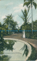 R031890 The Acclimatization Gardens. Brisbane. 1911 - Welt