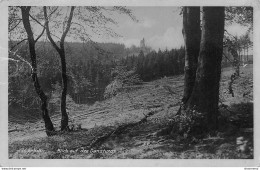 CPA Iserlohn-Blick Auf Den Danzturm-état Mauvais      L2140 - Iserlohn