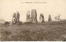 CPA Plouharnel-Menhirs Du Vieux Moulin-1012      L2236 - Other & Unclassified