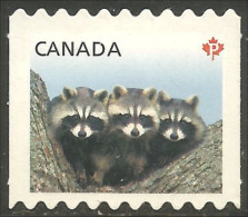 Canada Racoons Raton-laveur Annual Collection Annuelle MNH ** Neuf SC (C25-06ii) - Ungebraucht