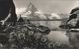 11665370 Zermatt VS Stellisee Mit Matterhorn  - Sonstige & Ohne Zuordnung