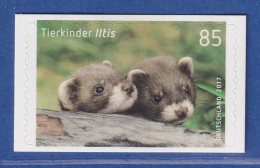 Bund 2017 Tierkinder Iltis 85Cent SELBSTKLEBEND Mi-Nr. 3294 ** - Sonstige & Ohne Zuordnung