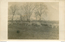 CPA Civières-Ferme Du Bois Gauthier   L1364 - Andere & Zonder Classificatie