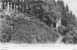 CPA Plombières-La Vierge Et La Chapelle Saint Joseph-56       L2448 - Plombieres Les Bains