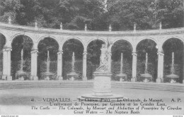 CPA Versailles-Château-Les Colonnades-41-Timbre      L2451 - Versailles (Schloß)