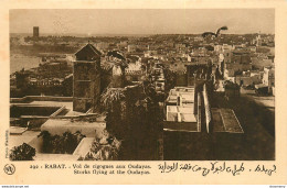 CPA Rabat-Vol De Cigognes Aux Oudayas-292       L1638 - Marrakech