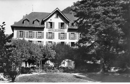 ALLEVARD LES BAINS - Hôtel Continental Et Chalet - Très Bon état - Allevard