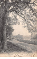 SOISSONS - Les Bords De L'Aisne, Vers Le Mail - Très Bon état - Soissons