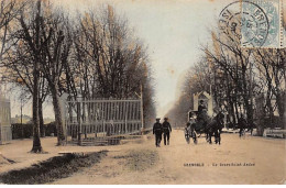 GRENOBLE - Le Cours Saint André - Très Bon état - Grenoble