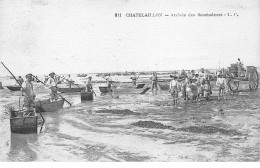 CHATELAILLON - Arrivée Des Boucholeurs - Très Bon état - Châtelaillon-Plage