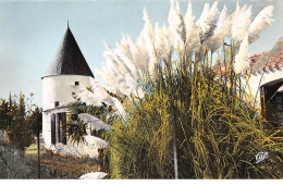 Ile D'Oléron - SAINT PIERRE D'OLERON - Le Moulin Du Coivre - Très Bon état - Ile D'Oléron