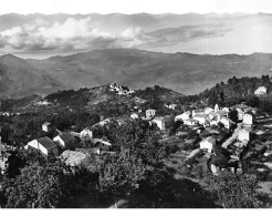 SAINT PIERRE DE VENACO - Vue Générale - Très Bon état - Andere & Zonder Classificatie