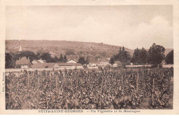 NUITS SAINT GEORGES - Un Vignoble Et La Montagne - Très Bon état - Nuits Saint Georges