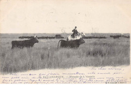 EN CAMARGUE - Manade De L'Amarée - Très Bon état - Altri & Non Classificati