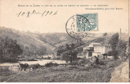 Vue De La Loire - Vue De La Loire En Amont De ROANNE - La Papeterie - Très Bon état - Other & Unclassified