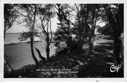 SAINT BREVIN L'OCEAN - Baie Du Pointeau - Très Bon état - Saint-Brevin-l'Océan