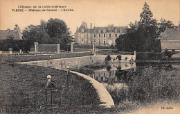 PLESSE - Château De Carheil - L'Entrée - Très Bon état - Autres & Non Classés